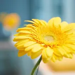 Ghotel Hotel & Living Muenchen-City